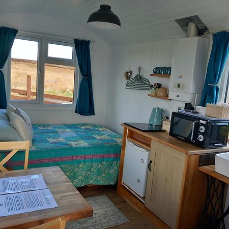 Hillside Camping Pods And Shepherd'S Hut ويك المظهر الخارجي الصورة