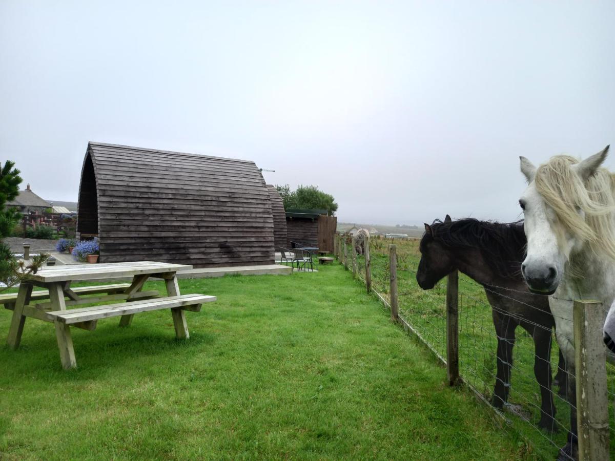 Hillside Camping Pods And Shepherd'S Hut ويك المظهر الخارجي الصورة