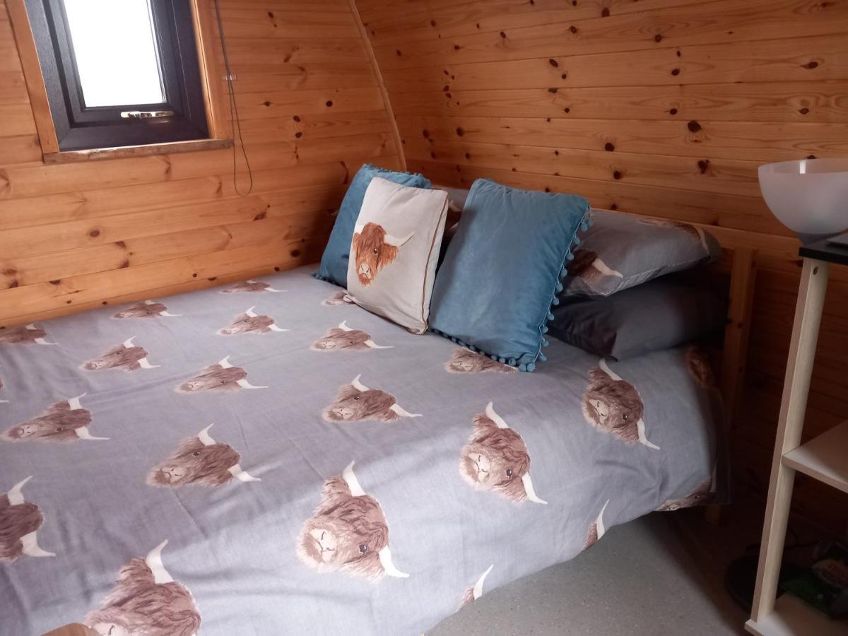 Hillside Camping Pods And Shepherd'S Hut ويك الغرفة الصورة